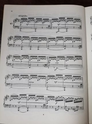 Bertini: Lote de 24 y 25 Estudios