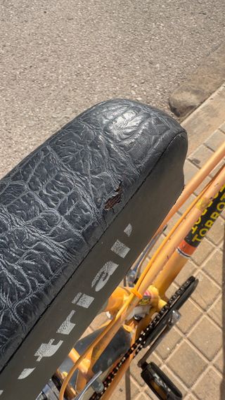 Bicicleta Torrot Trial Vintage retro