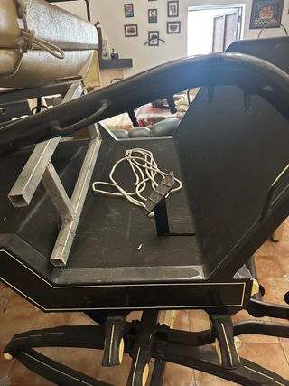 Coche buggy de caballos