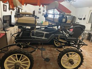 Coche buggy de caballos