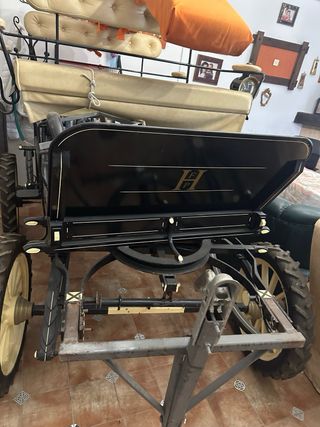 Coche buggy de caballos