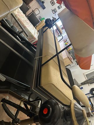 Coche buggy de caballos