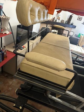 Coche buggy de caballos