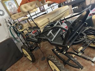 Coche buggy de caballos