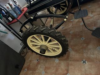 Coche buggy de caballos