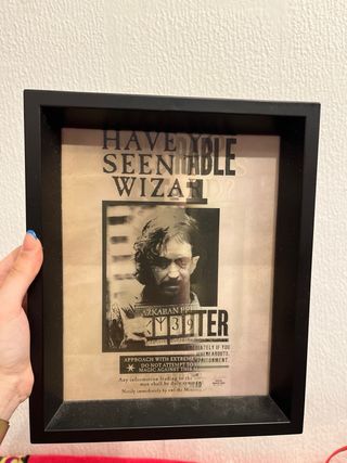 Cuadro Busqueda Mago - Harry Potter