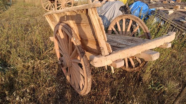 Carro madera antiguo vacas