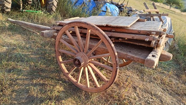 Carro madera antiguo vacas