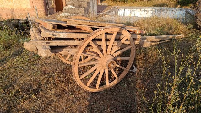 Carro madera antiguo vacas