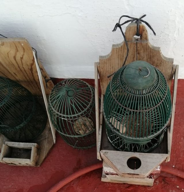 Jaulón perdices madera - Caza