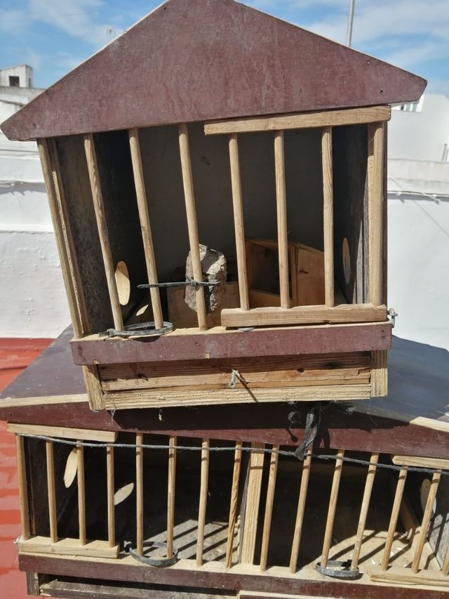 Jaulón perdices madera - Caza