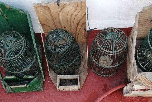 Jaulón perdices madera - Caza