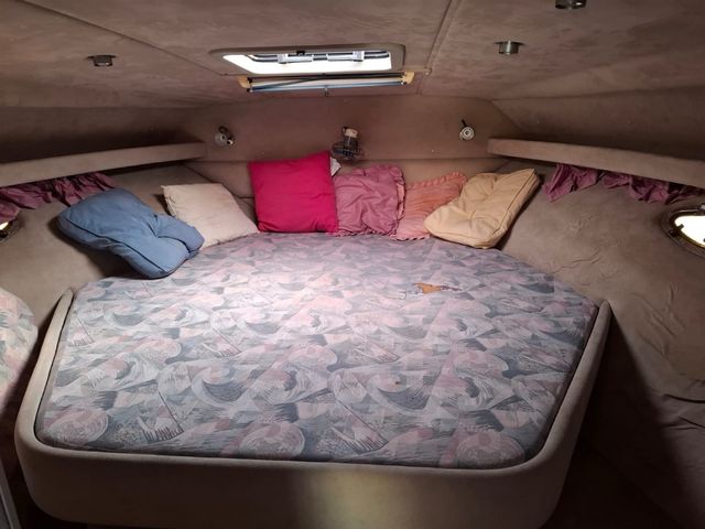 Barco motor - Embarcación deportiva