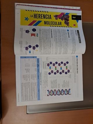 Proyecto: FanFest - Biología y Geología 4 ESO