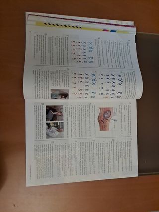 Proyecto: FanFest - Biología y Geología 4 ESO