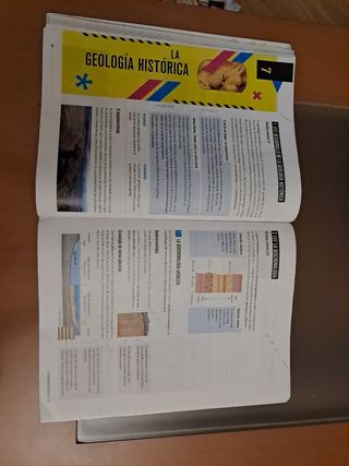 Proyecto: FanFest - Biología y Geología 4 ESO