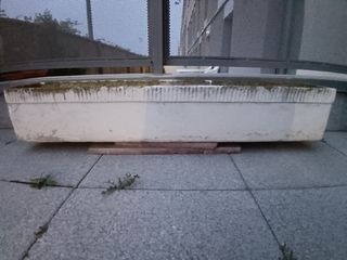 5 Jardineras con plantas. Lote.