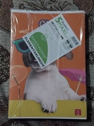 5 Maxi Quaderni Pigna 40 fogli