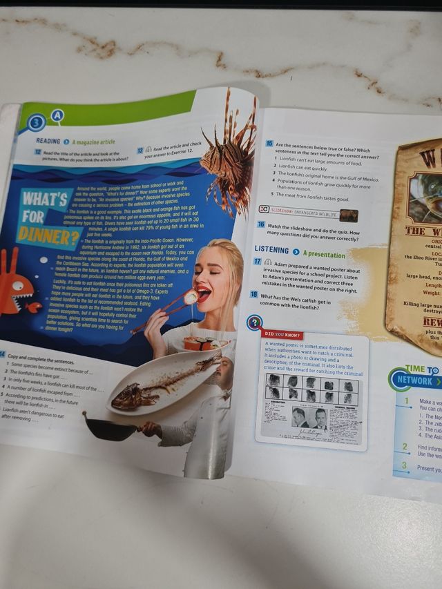 Network 3ºeso. Student's Book 