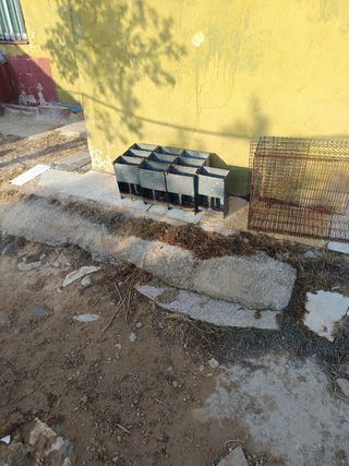 Comedor animales: ¡Oferta!