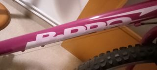 Bicicleta Infantil Pro
