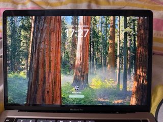 MacBook Pro 13" (M1, 2020) Gris