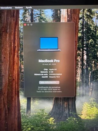 MacBook Pro 13" (M1, 2020) Gris
