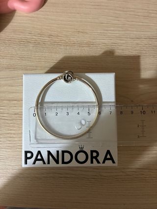 Pulsera Pandora Moments Plata