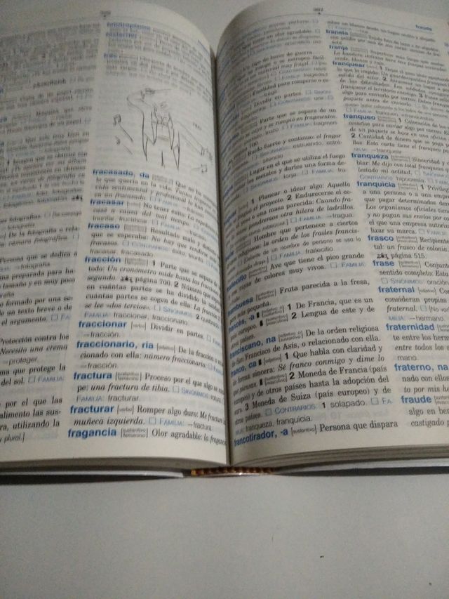 Diccionario básico primaria 2002