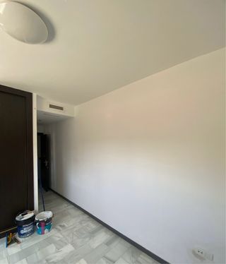 Pintor profesional - económico