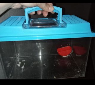 Transportín azul para mascotas