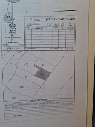 Terreno Rústico - 2248m² con 200 olivos de 3 años 