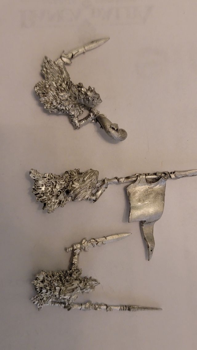 Wild Riders - Wood Elf - Warhammer TOW/Fantasy GW