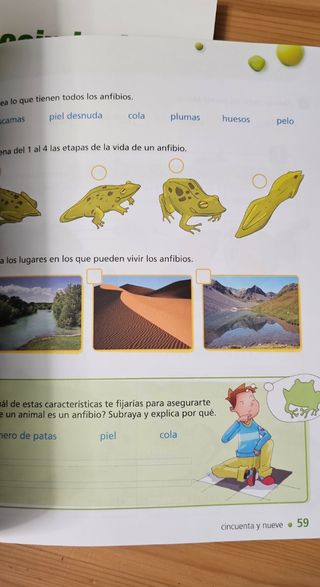 Conocimiento del Medio 2º Primaria