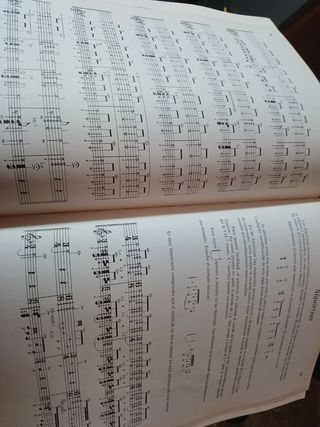 Guitarra Flamenca - Juan Grecos