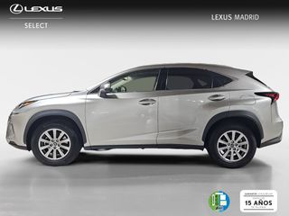 Lexus NX 2.5 300h Business Navigation 2WD