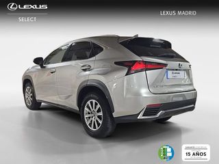 Lexus NX 2.5 300h Business Navigation 2WD