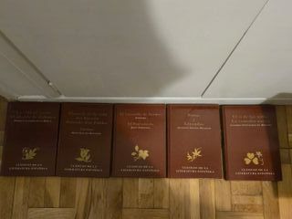 CLÁSICOS DE LA LITERATURA ESPAÑOLA