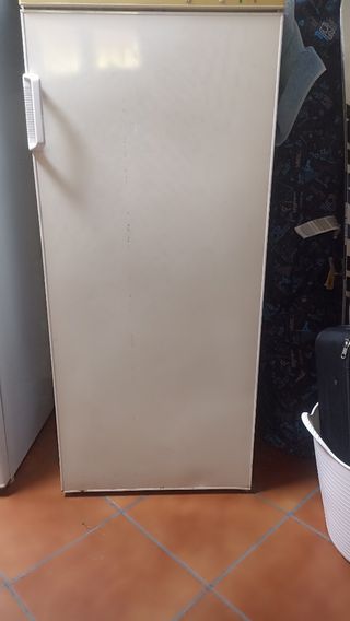 Congelador Zanussi ZD 2050 VPR