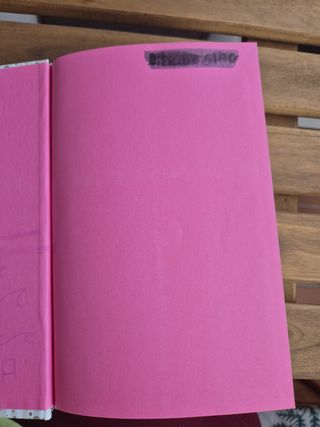 Misterio en el internado (La diversión de Marti...