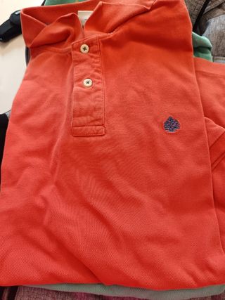 4 Polo Springfield diferents colors