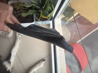 Sillín bici Prólogo NAGO R4  PAS carbono