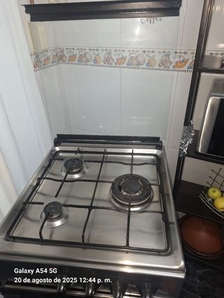 Horno de gas cocina