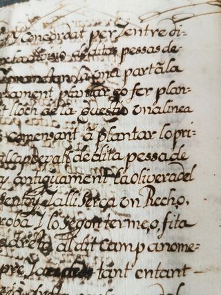 Manuscritos antiguos (siglos XVII+)