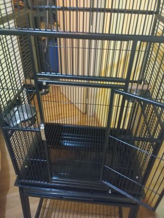 Jaula loro