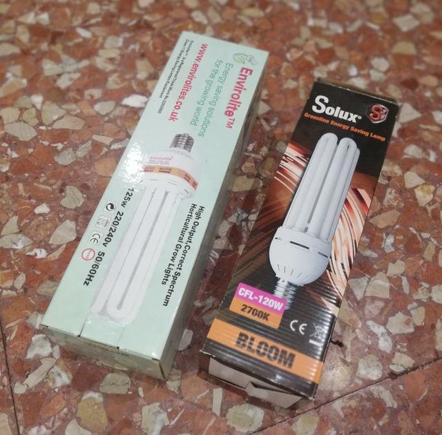 Set armario de cultivo.