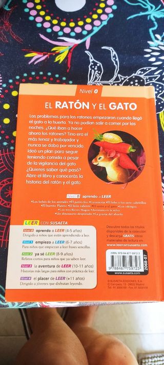 El ratón y el gato