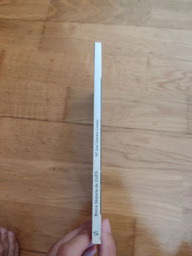 Breve historia de Jaén