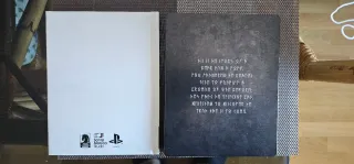 God of War PS4 (PlayStation 4) Edición Limitada