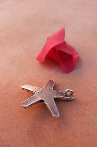 Colgante Estrella Mar Plata